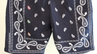 VS嵐でニノ美亜和也さん着用の衣装・AYUITE プリント ペイズリー刺繍ジャージ 裏毛パンツ