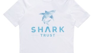 ジェシー　SixTONES　私服　RIDE ON TIME　PAUL＆SHARK　Shark Trust Organic Cotton T-Shirt